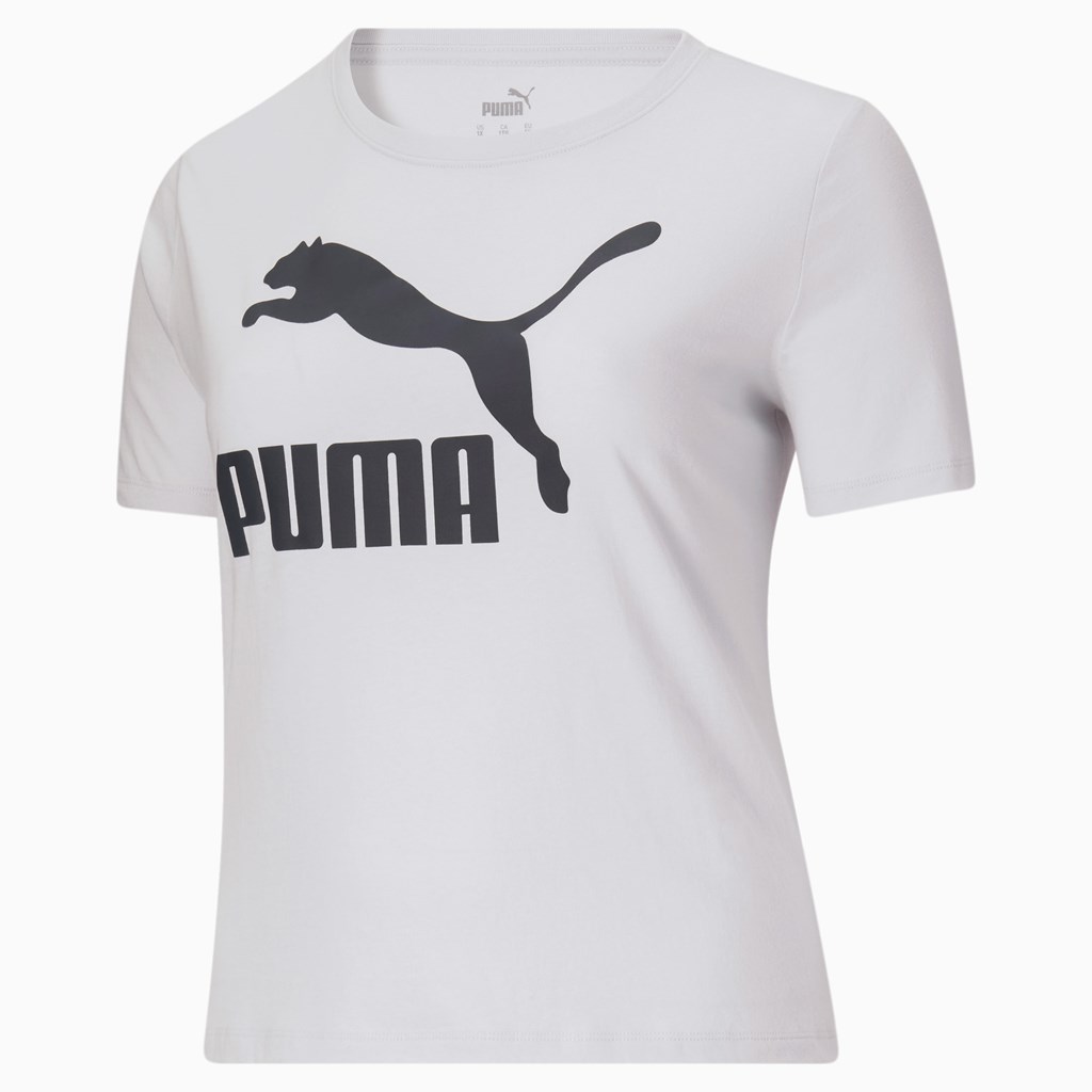 Puma Classics Logo PL Tee Arctic Ice | VS4970315