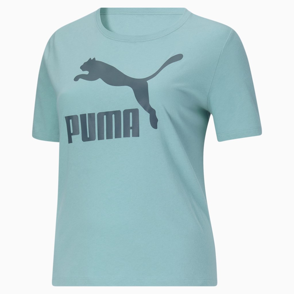 Puma Classics Logo PL Tee Porcelain | IL1385607