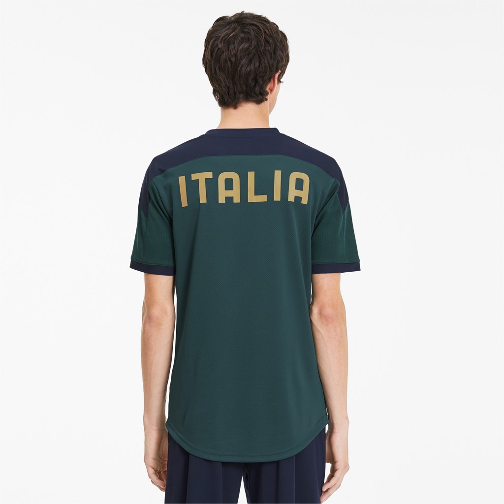 Puma FIGC Antrenman Jersey Ponderosa Pine / Peacoat | JW3947162