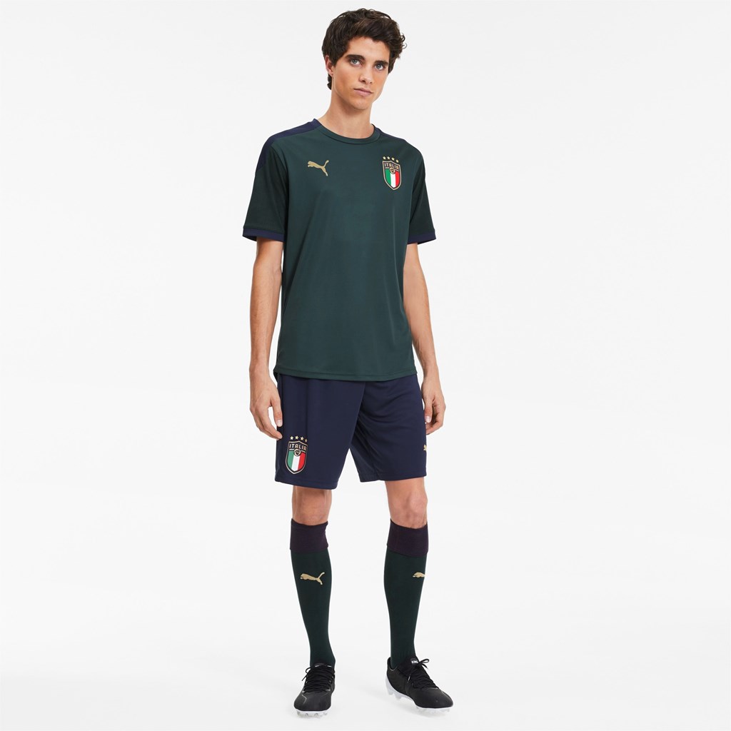 Puma FIGC Antrenman Jersey Ponderosa Pine / Peacoat | JW3947162